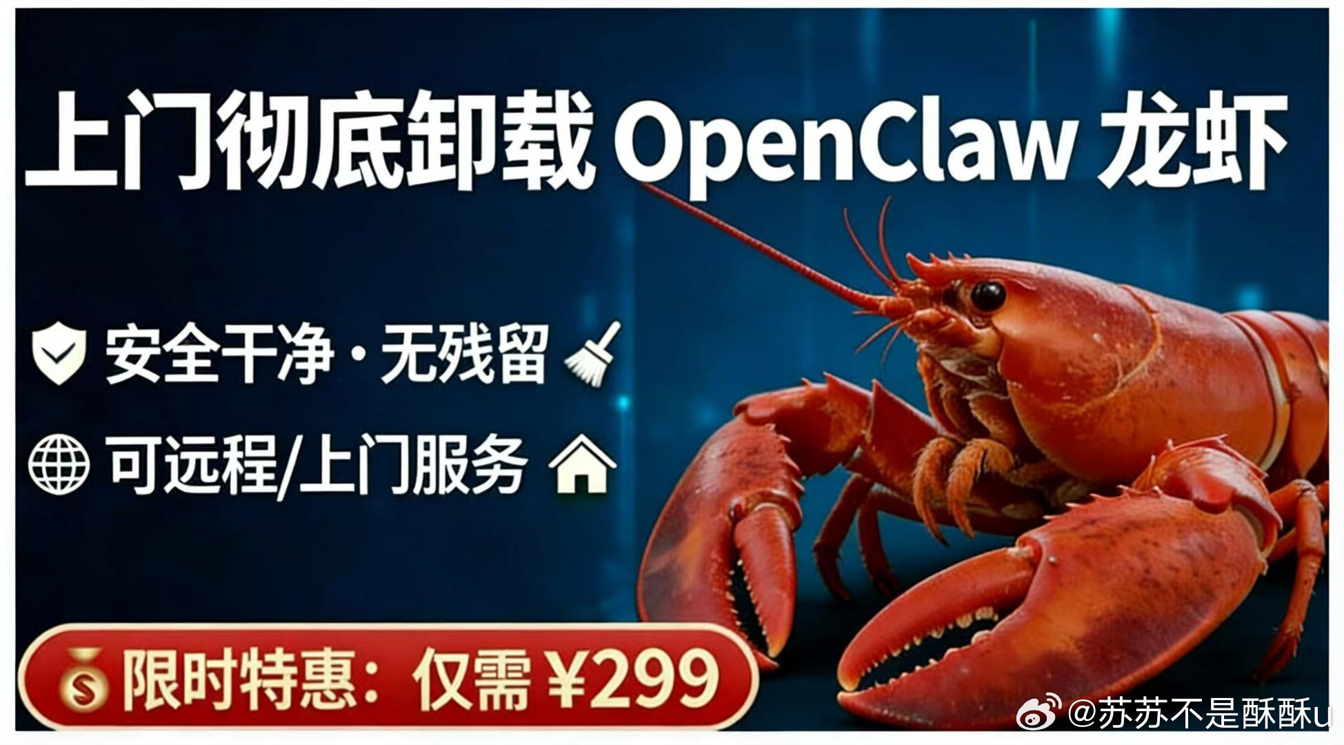 闲鱼这波“龙虾”操作太秀了第一批养龙虾的已经转型卸龙虾了。刚买完0.9元安装课