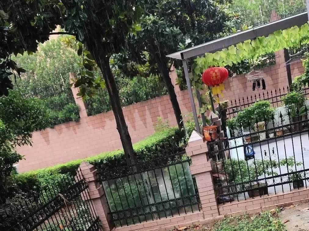 亲戚在自家院子种菜，隔壁直接投诉到物业，非说夏天招蚊子影响他家，死活不让种！亲戚