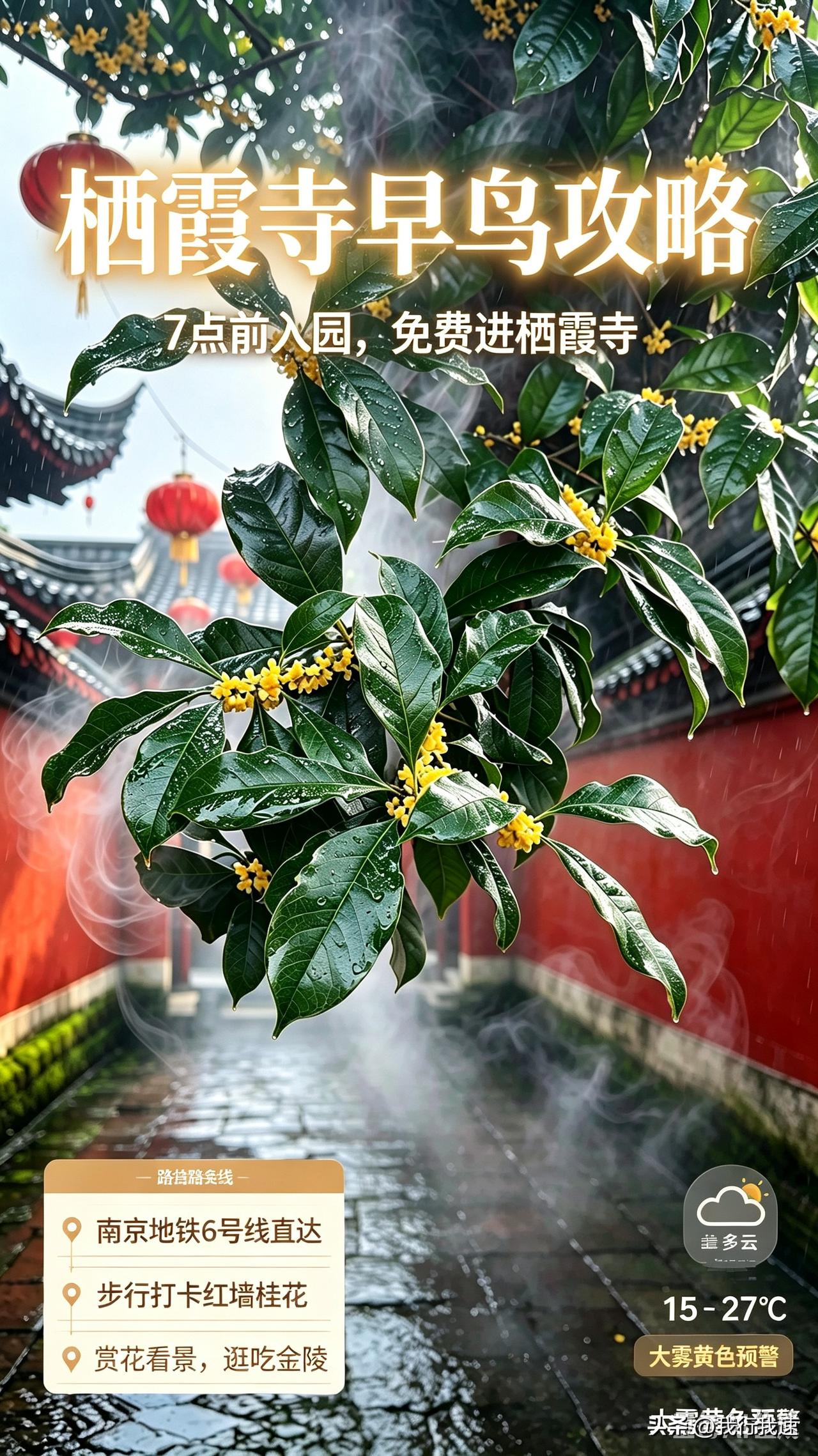 亲测有效！赶在早上7点之前入园，栖霞山大门票直接省掉，不用买门票就可以进到里面去