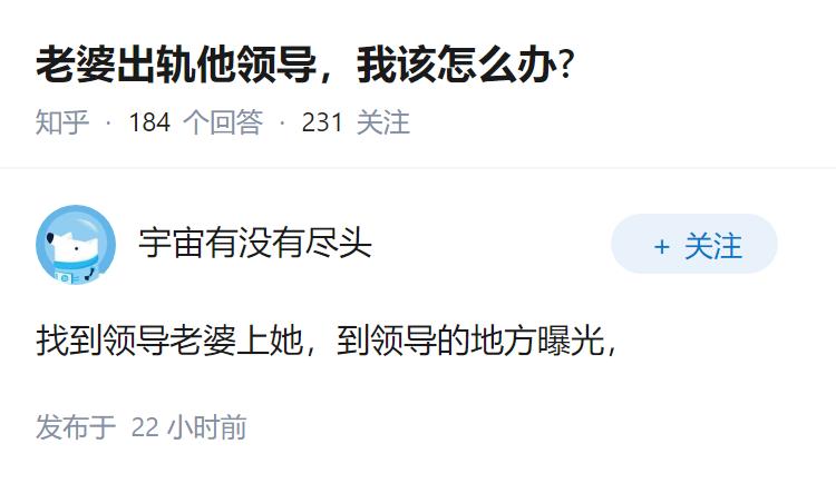 老婆出轨他领导，我该怎么办?