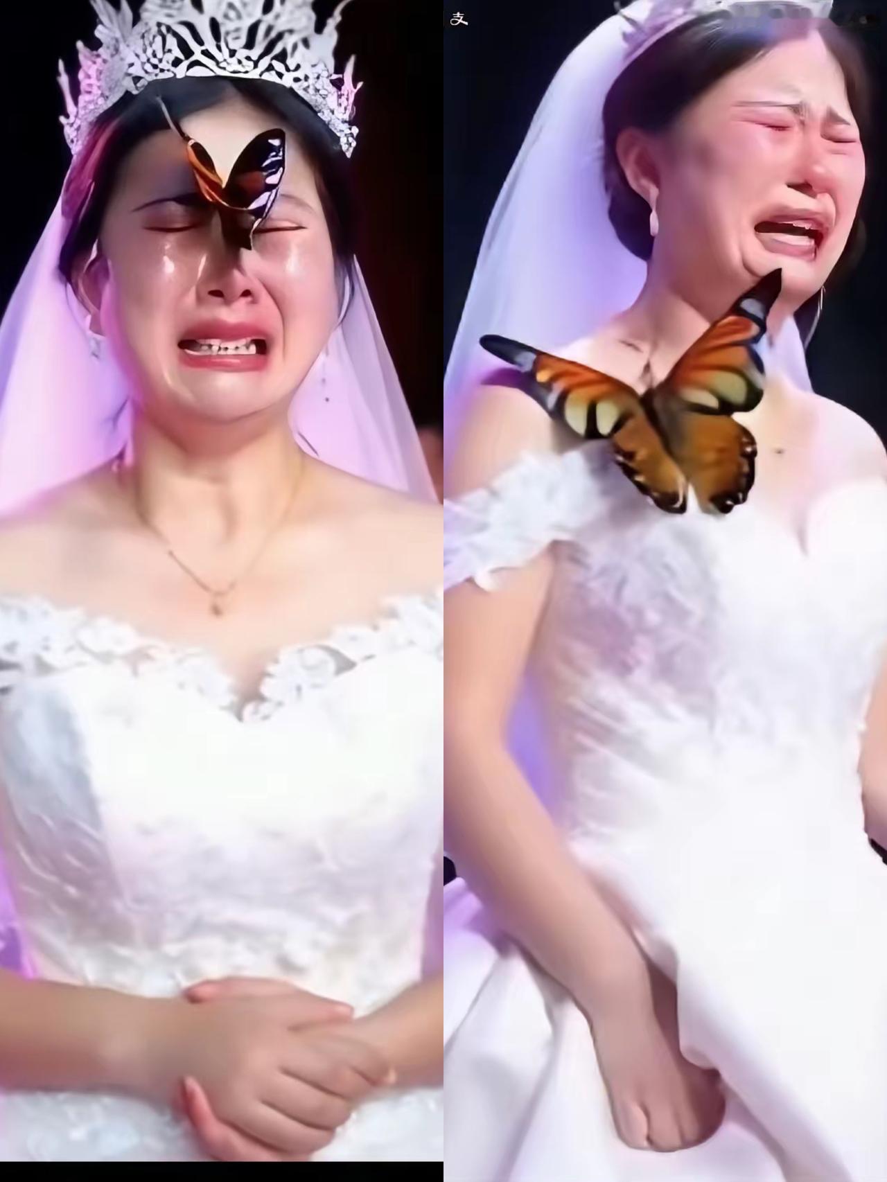 泪奔！看哭了！女子结婚当日，突然飞来一只蝴蝶，落在新娘脸上的蝴蝶，根