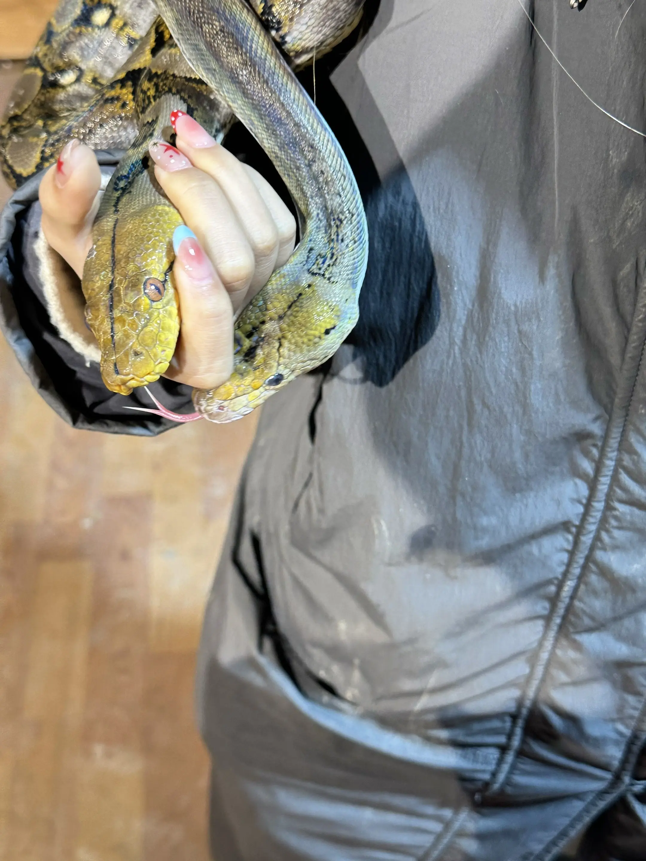 恐蛇误入🐍入入入入。