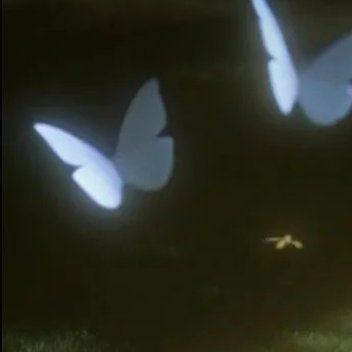 0000水蜜桃种植一、品种选择与建园准备选择适应本地气候、成熟期配套、抗病性强