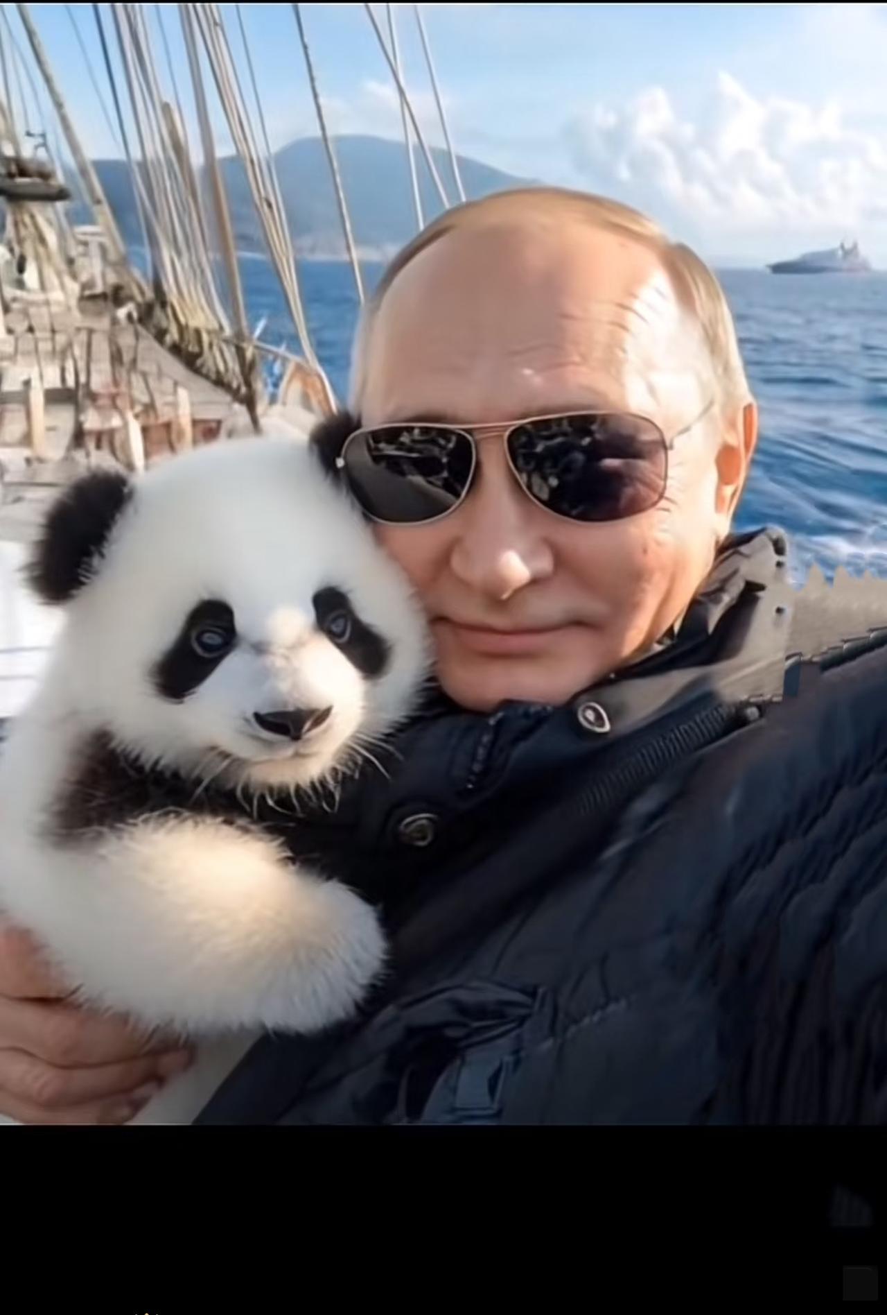 平时瞅着俄总统那股狠劲儿，真觉得是个莫得感情的“钢铁直男”，哪怕这世界乱成一锅粥