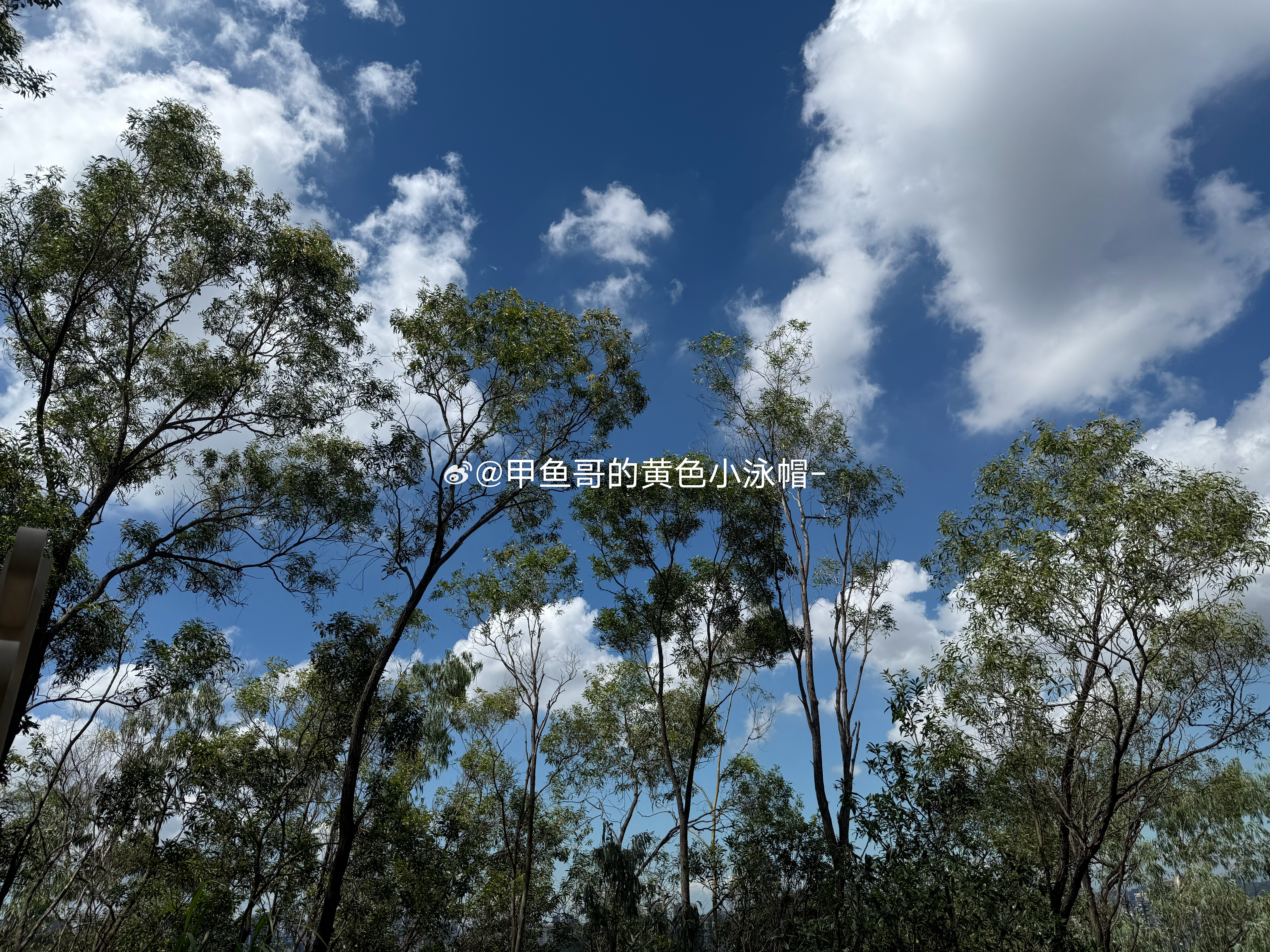上山晒太阳🌞🌞🌞​​​
