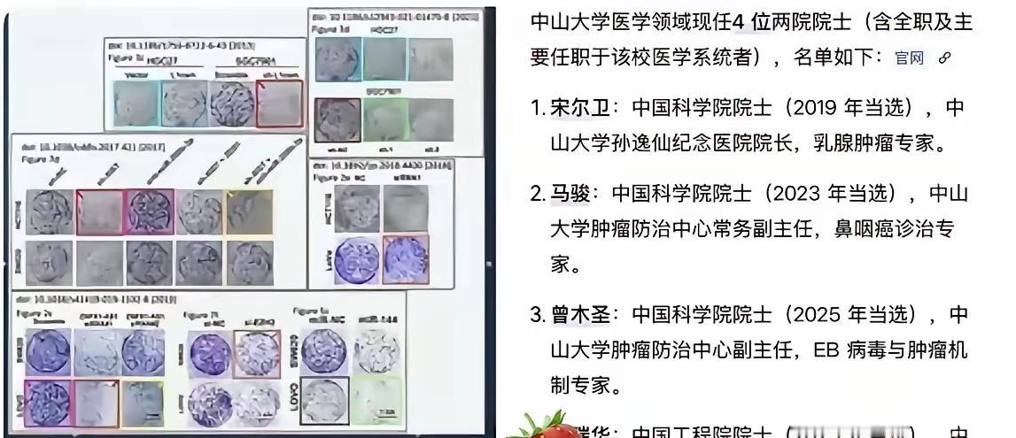 耿同学这回算是把天捅了个窟窿。这次耿同学的实名举报直接戳破学术圈藏了很久的乱象