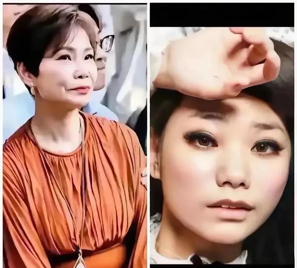 有网友说马筱梅整得很成功汪小菲放着自然美女不选非要再选个科技脸+湾湾女