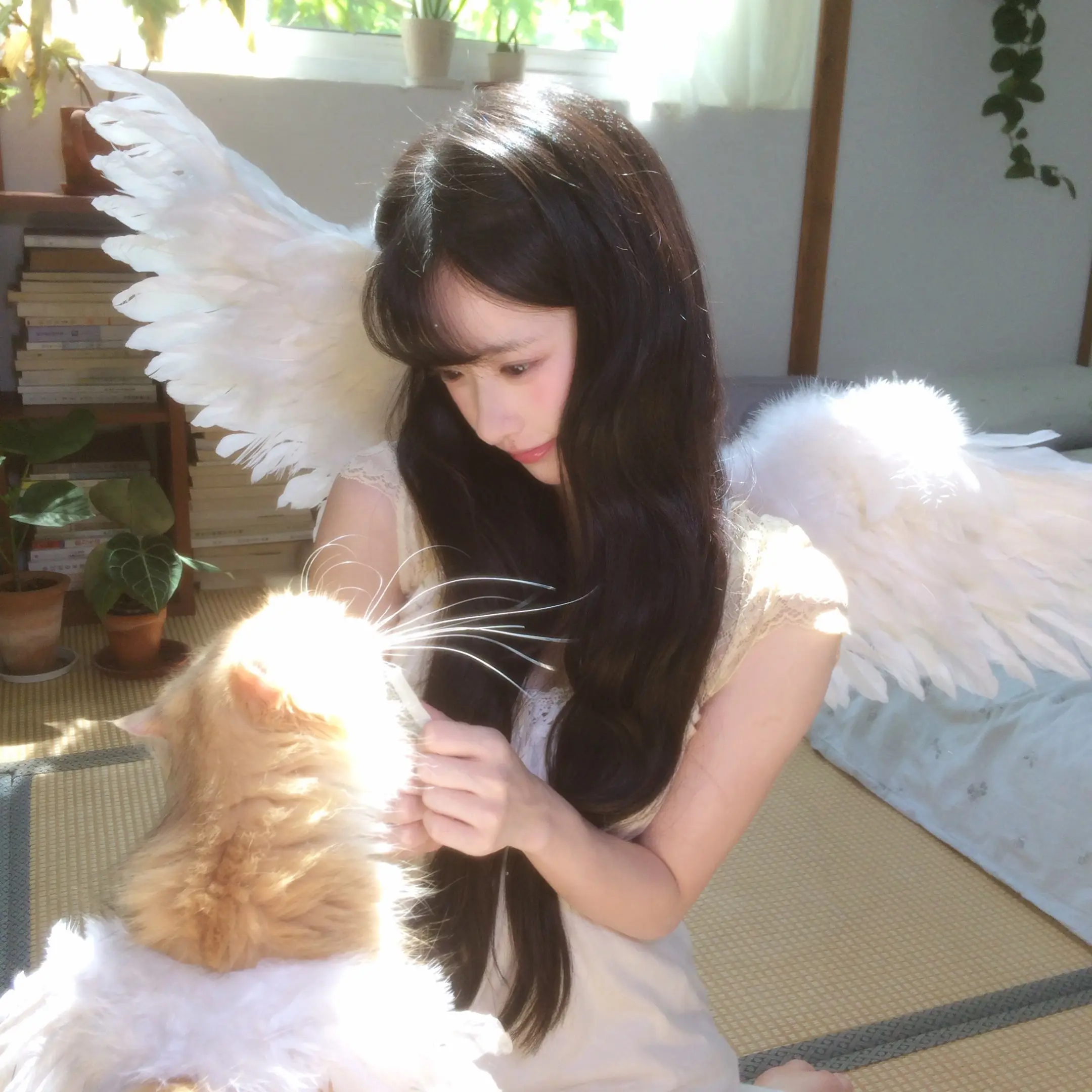 我承认我是猫猫天使🐈🪽
