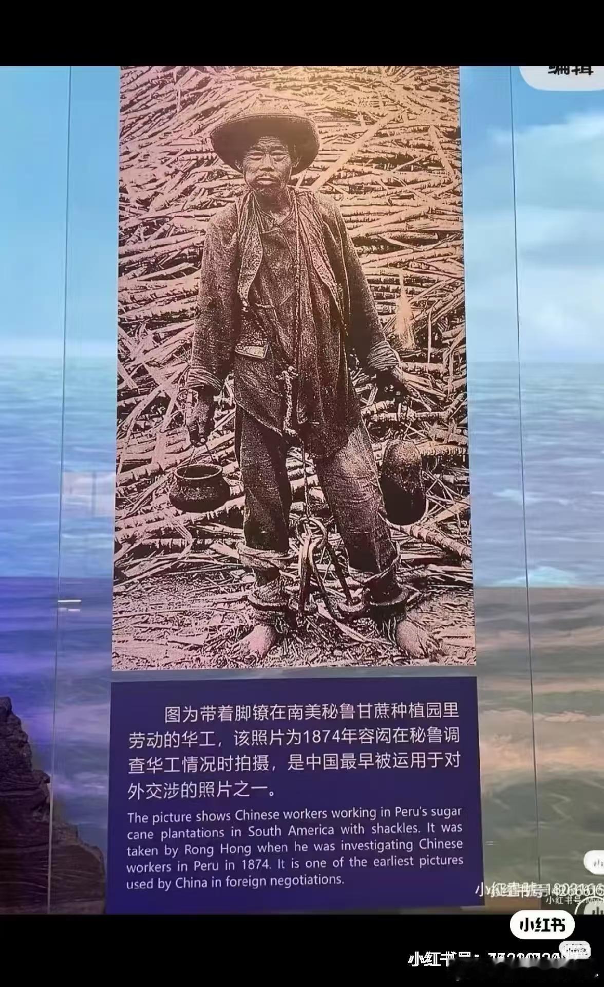 “野猪皮能是什么好东西”