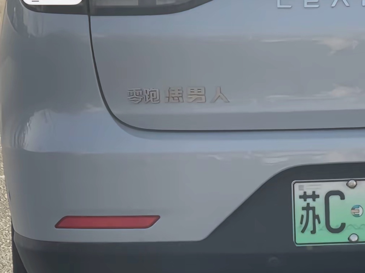 一般有卧龙的地方，必有凤雏！零跑恁男人，零跑恁媳妇[捂脸哭]​​​