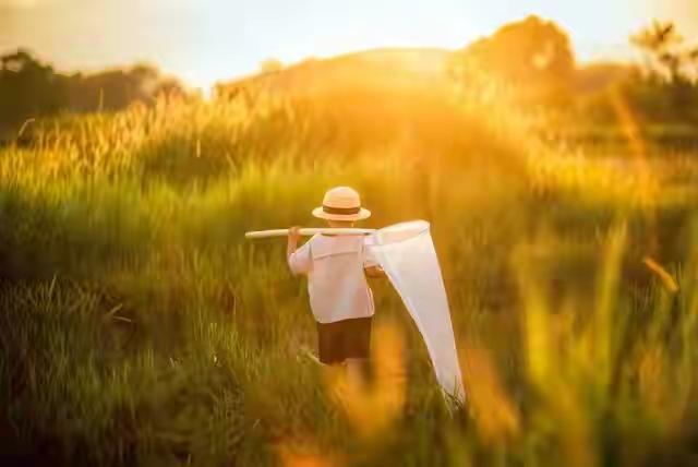 刚刷到这段话直接说到心坎里！太治愈了如果你是一个普通的父母没攒下多少财富