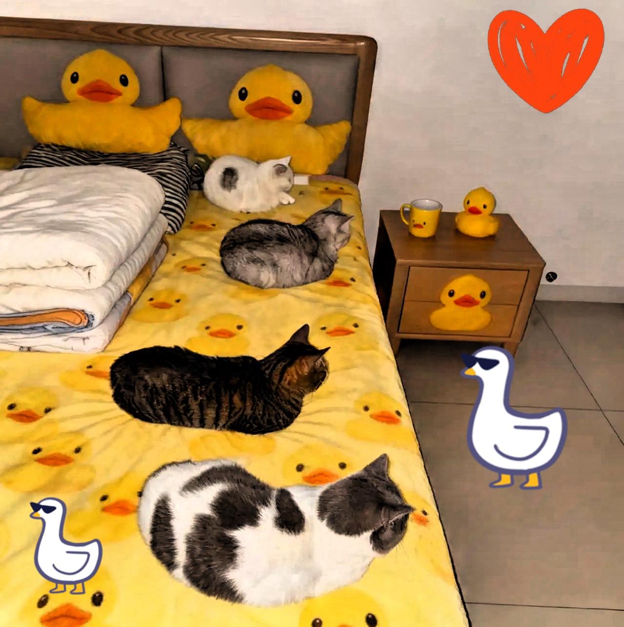 换谁听这话不得心凉半截！老公一句“年后不租房，你带娃回老家”，直接把婚姻过成了“