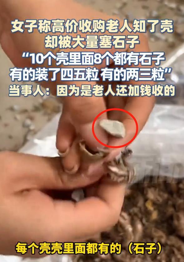 这也太坑人了！陕西铜川，女子做药材回收，花高价在一老人手里收了一批知了壳，本来想
