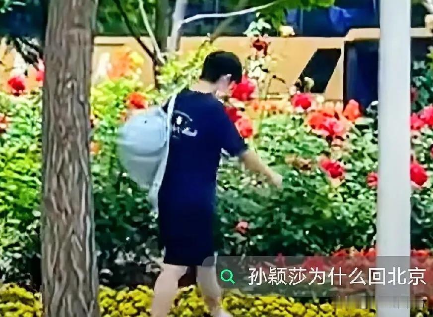 王艺迪去西藏旅游了我不意外王曼昱也出去旅游了我也不意外但令我意外的是，孙颖莎