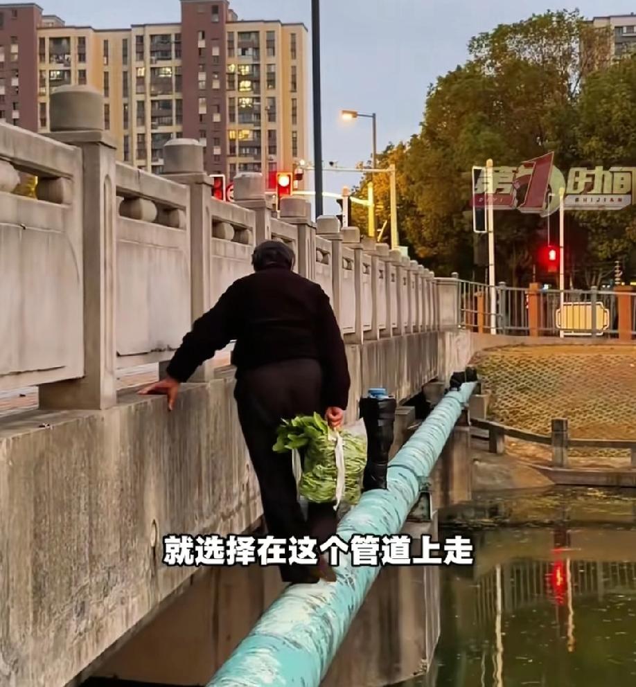 这老人简直比年轻人还疯狂啊！竟然直接走桥两边的管道，真是太胆大了上海一位七旬