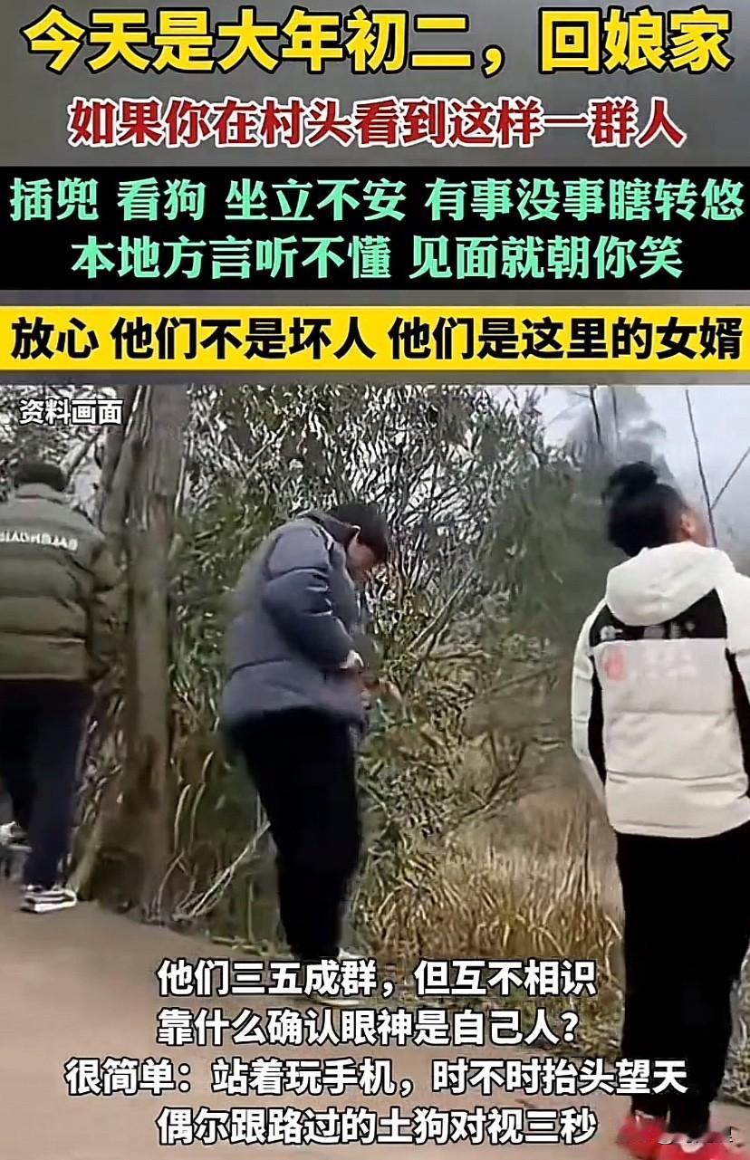 初二村口出现大量外地女婿手插裤兜，脚踢石头。看看天空，唤唤狗狗。上下转转，左