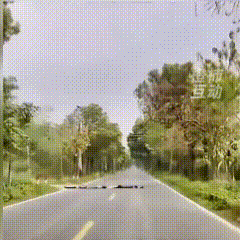 广东清远，躺到大马路中间，摆成减速带的四个小孩，太糊涂了！据身边人透露，这4人都