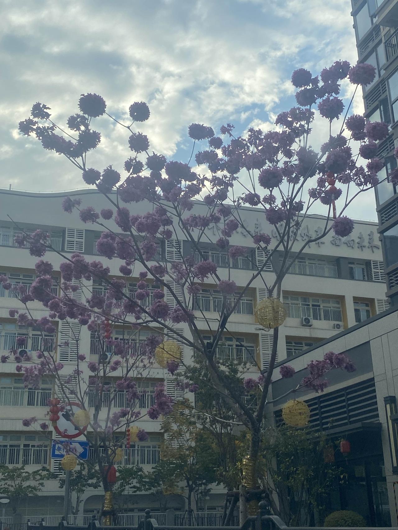 如果不是国家强力兜底的话，很多人早就被各类网络平台给“斩杀”了。我的一个朋友是做