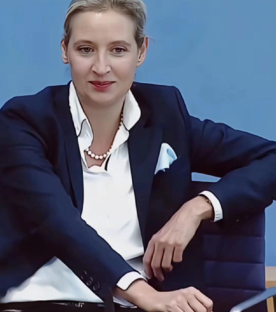 德国女政客魏德尔到中国一个偏远小镇出差办事，本来想找个地方清静一下，没想