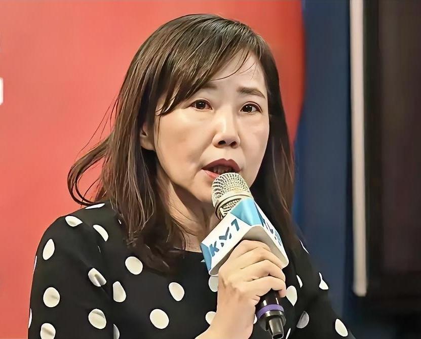 尹乃菁7月3日在节目中一针见血指出，“其实无人机条例就美国塞给我们的；蓝绿白，所