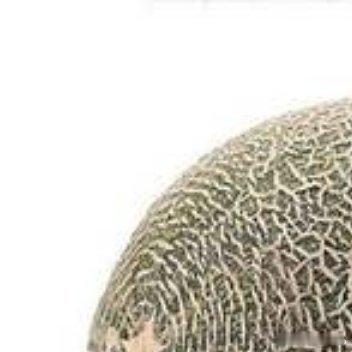 0000种植哈密瓜的种植方法一、播种育苗哈密瓜通过种子育苗，在种植前要先进行育苗