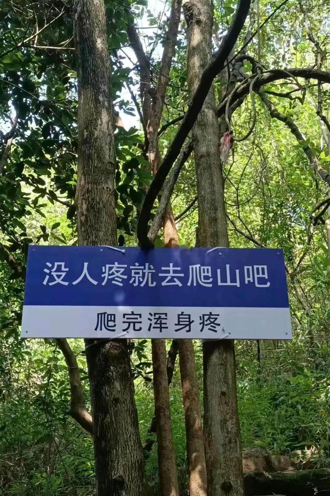 处女座的人年纪越大越不容易爱上一个人，他们可能经历过一些伤害或者失望，让他们对爱