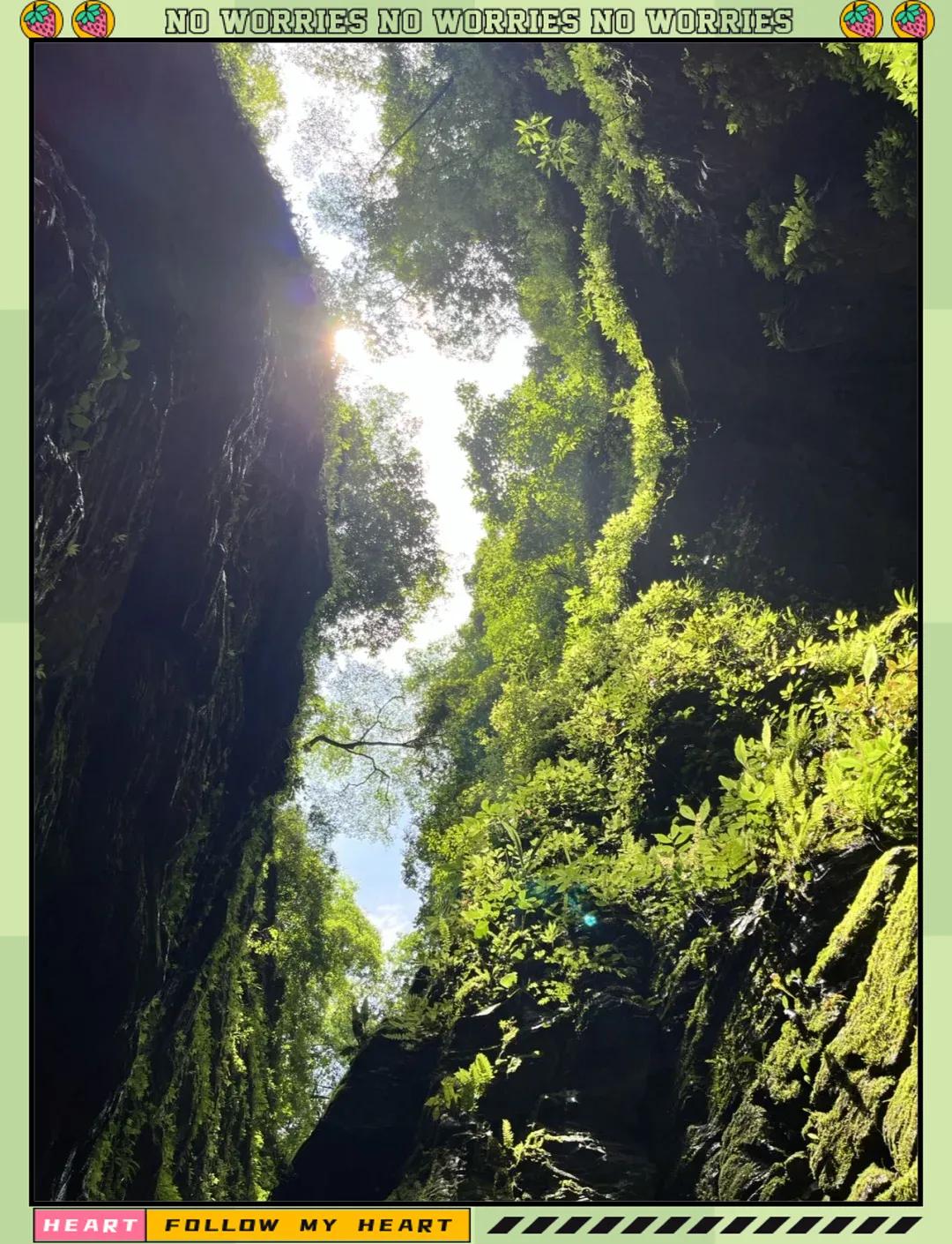 探秘张家界坐龙峡，体验“飞流直下三千尺”的壮丽景色。坐龙峡位于张家界附近，是一