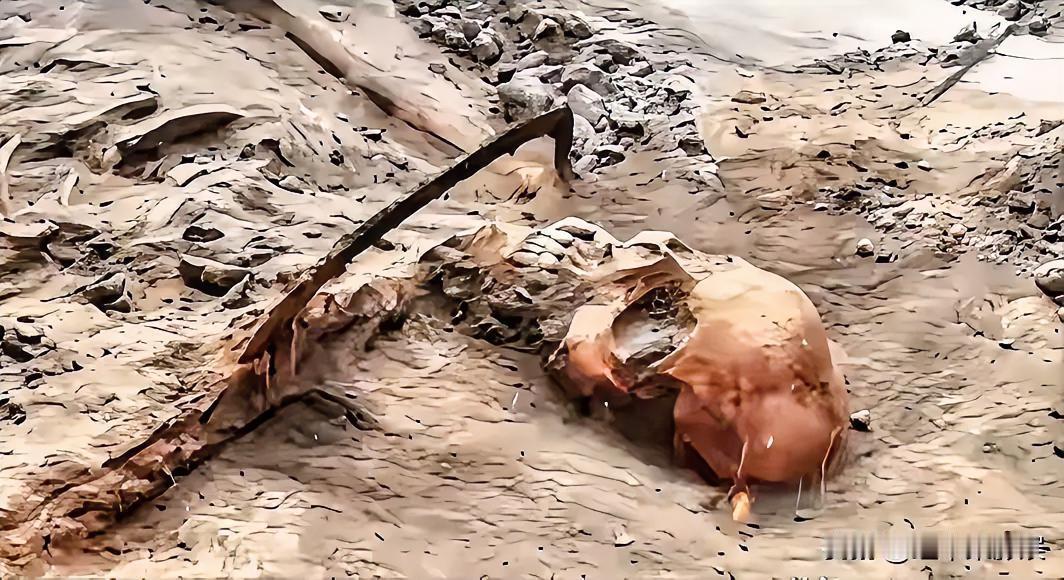 1068具遗骸，整整在土里埋了83年。就在前两天，河南舞钢挖出来的。如果不动土，