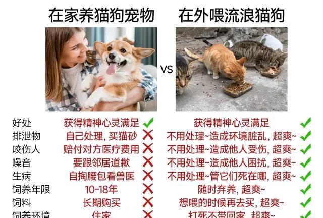 有人说只投喂不收养，就是耍流氓，在获取心灵精神满足的情况下，不用负责任。想喂的时