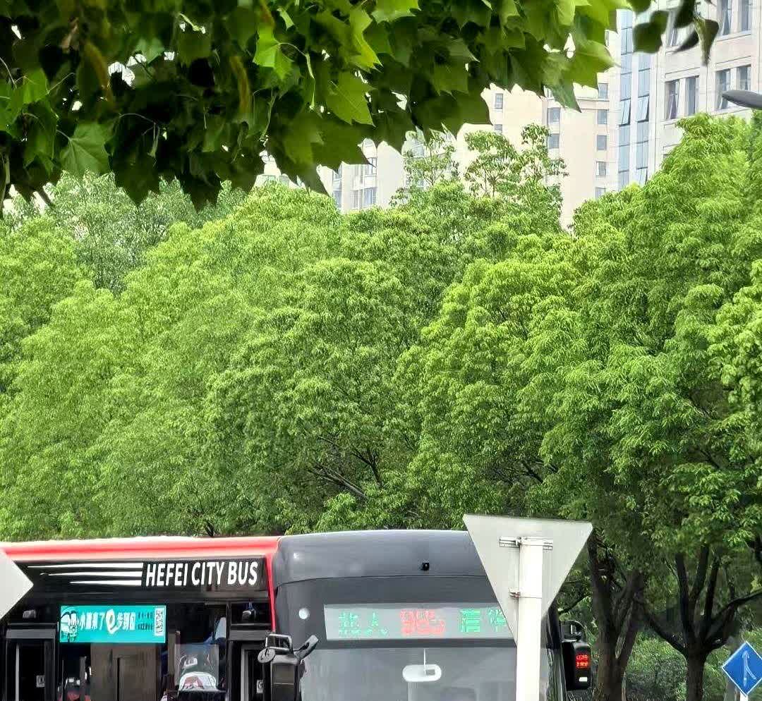 我宣布合肥公交你是全国最能整活的公交公司了这两天刷到合肥