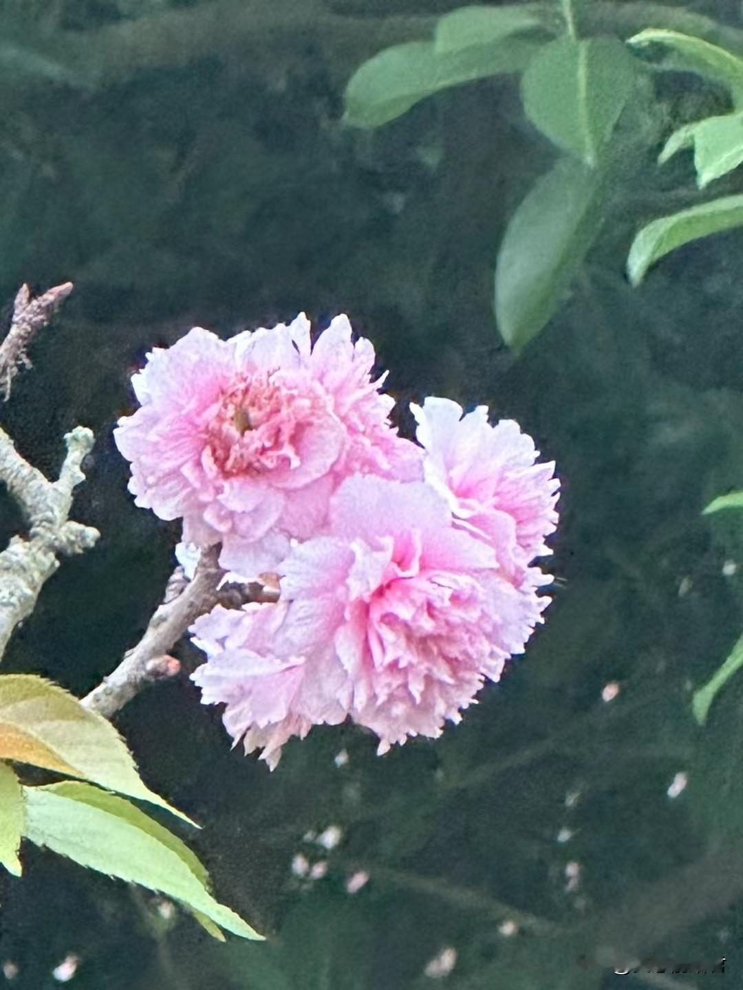 这种心太软，又恋爱脑的女人，日子是永远过不好的。一女子34岁，跟老公在一起16年