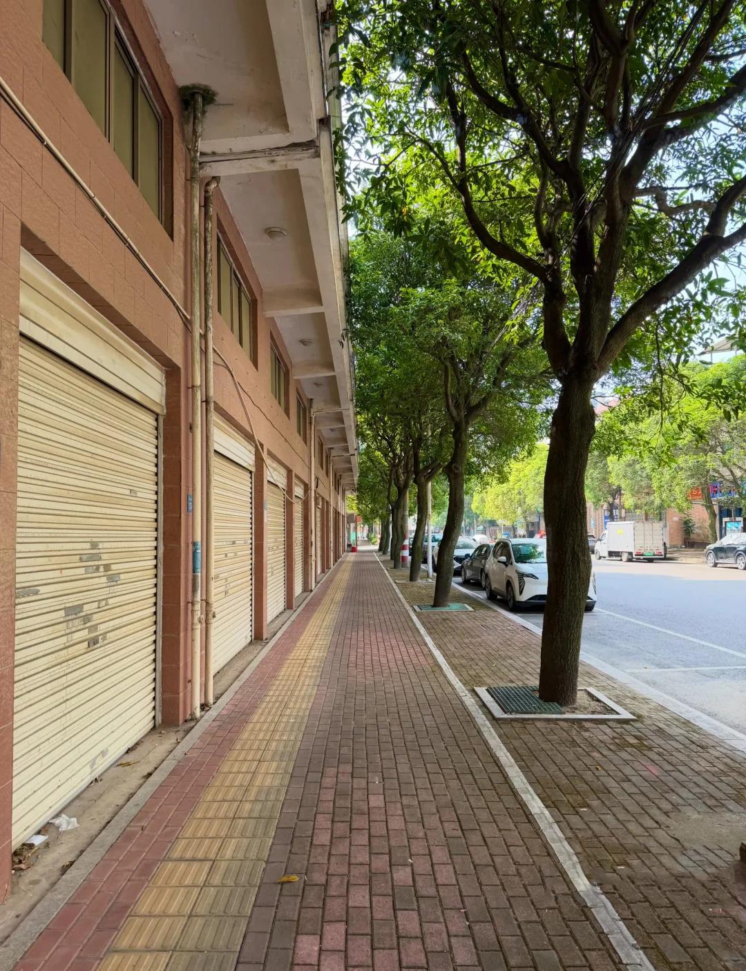 在福州市马尾区亭江镇闲逛，发现街上很多店铺都关着门，行人稀少，冷冷清清。问当地人