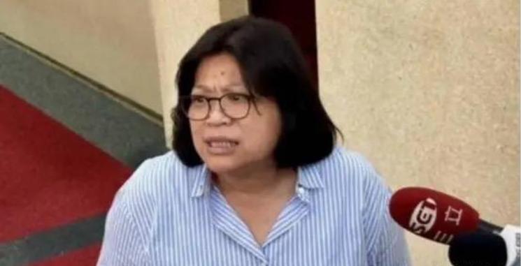 绿委王美惠叫嚣：“台湾人不是中国人”，可翻遍公开资料，她的家族背景、祖籍在哪儿都