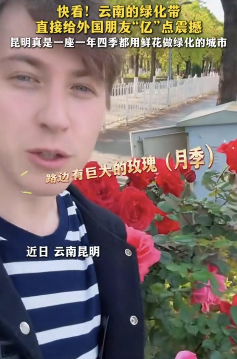 昆明的绿化带给老外带来亿点点震撼，直夸赞“路边巨大的玫瑰！”看来他和我一样，傻