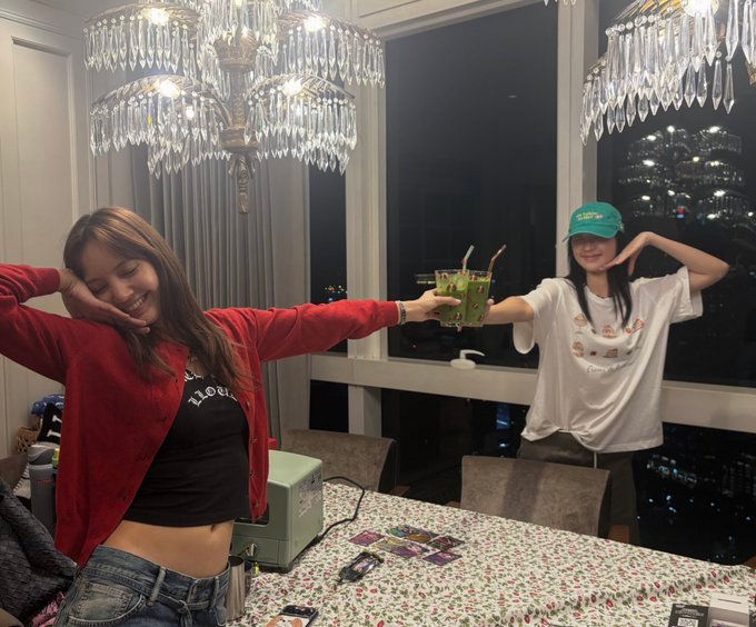 这个抹茶的出镜频率有点高啊