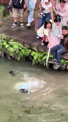 黑衣男想英雄救美，却硬生生被拽了回来！[捂脸哭][捂脸哭][捂脸哭][捂脸