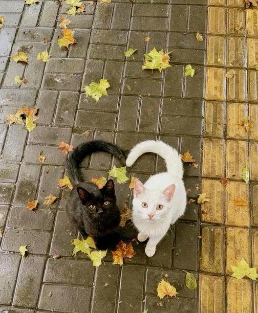 偷偷告诉你人性潜规则男人90％都好色，女人90％都爱财。女人越穷越好嫁，男人越