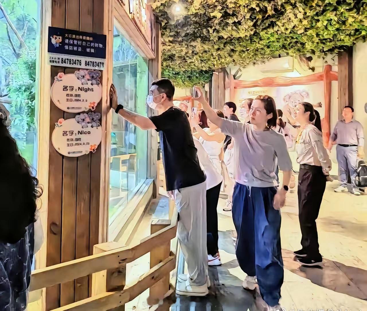 有网友在广州长隆野生动物世界偶遇秦海璐一家，她和老公带着儿子！王新军现实生活中这