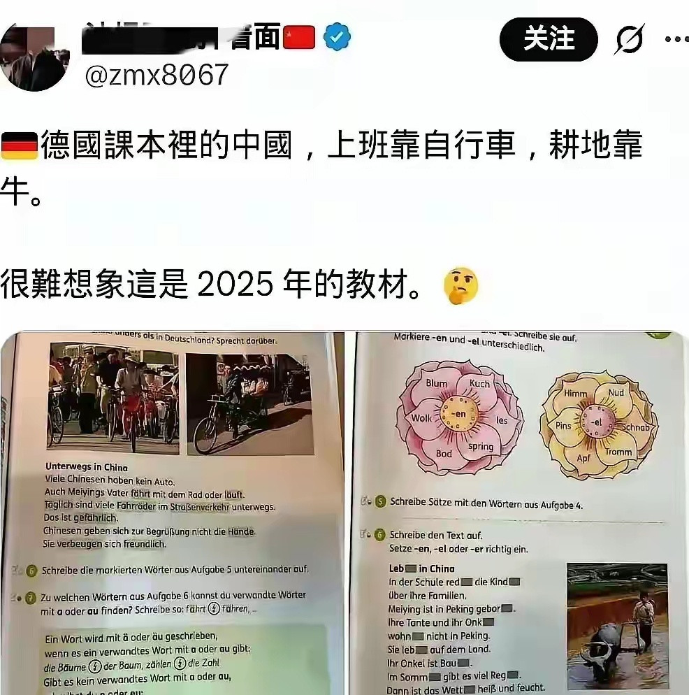 我以为台湾已经是井底之蛙了，谁知道这世界上最大的婧娃竟然是德国🇩🇪说我们中国
