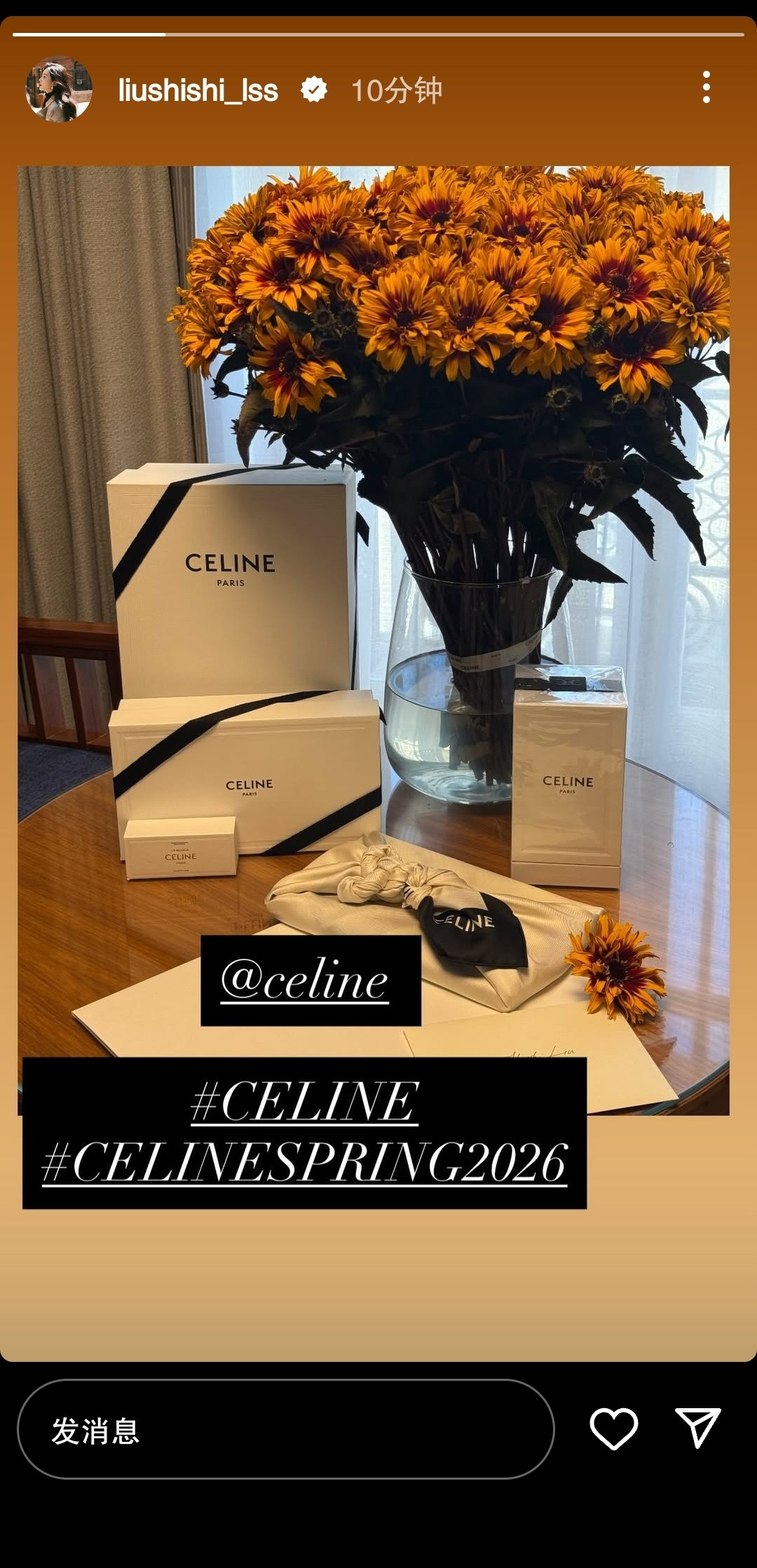 刘诗诗ig快拍CELINESPRING2026到达应该是凌晨飞的，舟车劳顿