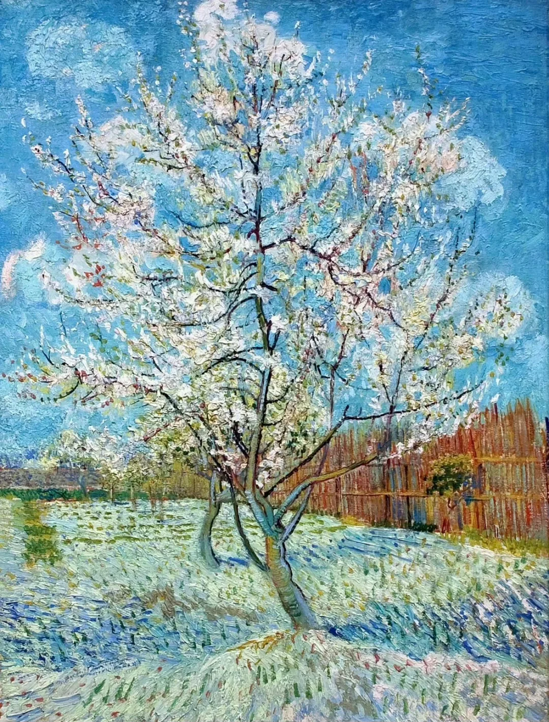 两个人是不是互相喜欢，试探一下就知道了