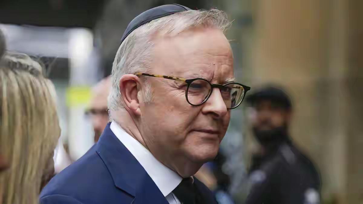 脑瓜子嗡嗡的！​阿尔巴尼斯怎么也没有料到，妄议解放军围台军演“警告中方不许武力