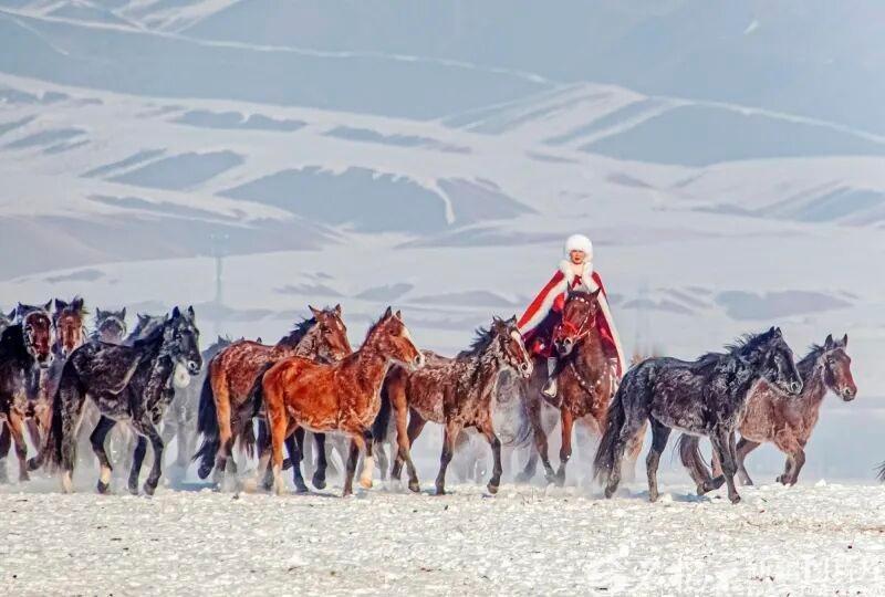 看哭全网，破防了！2月9日10:20，湖北九派新闻援引新疆日报消息，披露贺娇龙