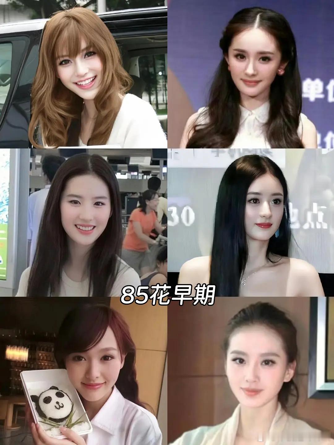 859095花早期颜值