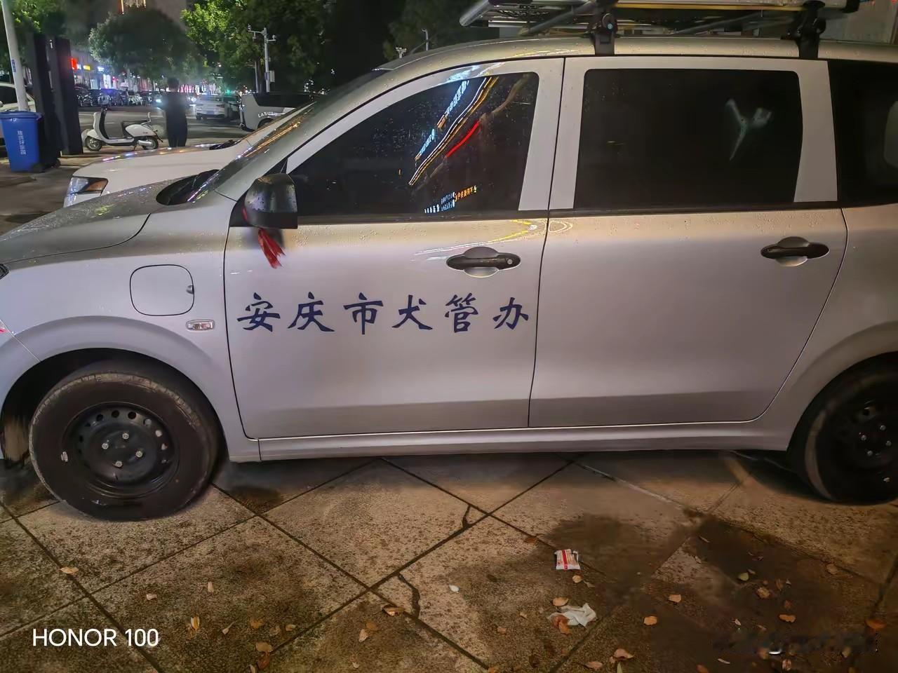 狗患肯定要严加治理。爱犬人士有养犬的自由，但公众也有不被狗患骚扰的权利。毕竟，狂