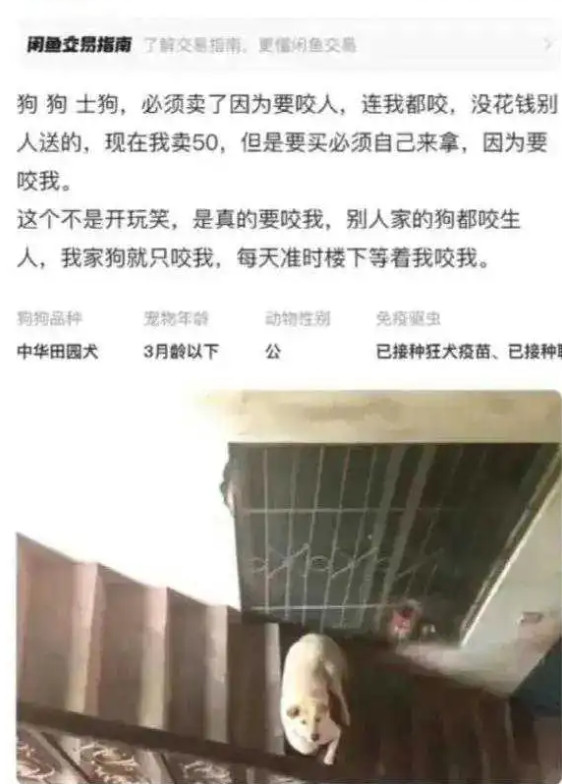 闲鱼上浏览到的，笑死了