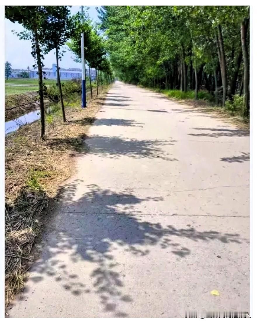 我发现我妈老了，性格也变了。今天我打电话给我妈说，妈，我准备明天早上回来呀！