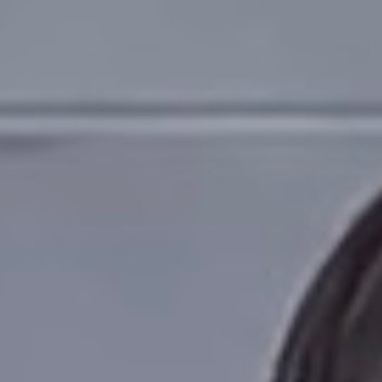 种种番石榴：1．选苗：选择粗壮、底子好的树苗，这样的树苗抗病能力强，挂果率高。2