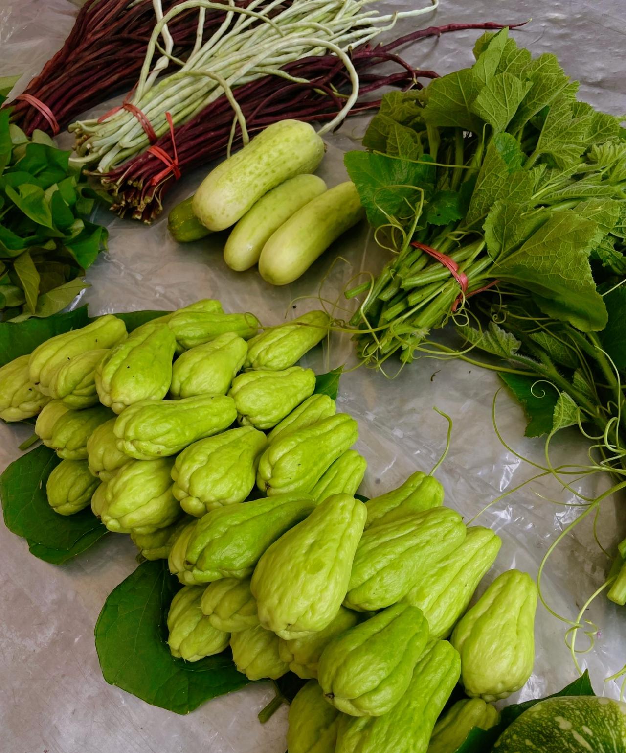 刘震云：）一个男人你记住了唯一的出路，是好好挣钱，你的首要任务：是脱贫，而不