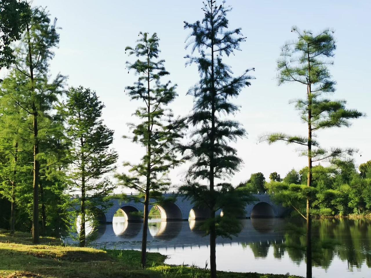 我们村从明代洪武年立村，但清末废除科举考试，几百年间，居然没有一个秀才，更不要说